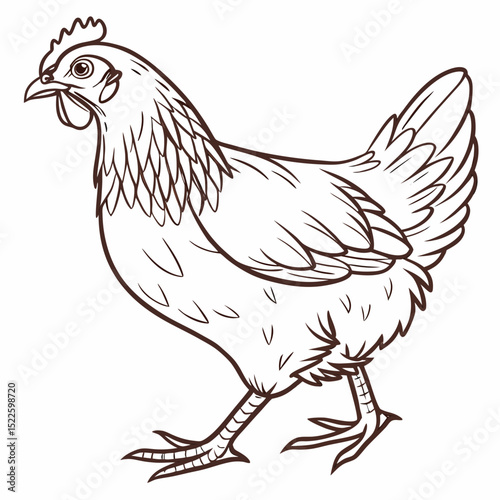 "Chicken – Farm Animal Vector Illustration"

