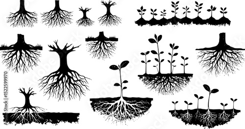 Various illustrations of tree roots and plant growth in a minimalist black and white style
