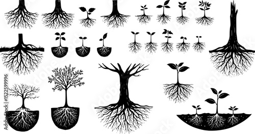 Various illustrations of tree roots and plant growth in a minimalist black and white style
