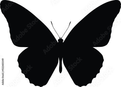 Silhouette of a butterfly with open wings