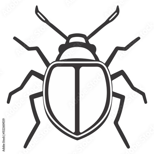 stink bug, insect, animal, vector, transparent background, organism, nature, isolated, wildlife, small, invertebrate
