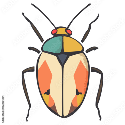stink bug, insect, animal, vector, transparent background, organism, nature, isolated, wildlife, small, invertebrate