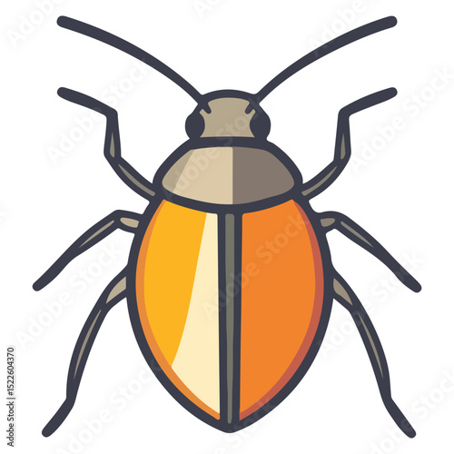 stink bug, insect, animal, vector, transparent background, organism, nature, isolated, wildlife, small, invertebrate