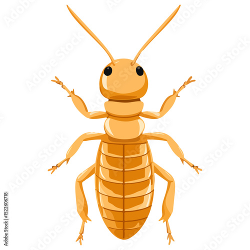 termite, insect, animal, vector, transparent background, creature, isoptera, isolated, pest, nature, wildlife, ant