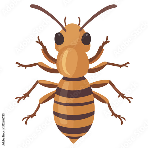 termite, insect, animal, vector, transparent background, creature, isoptera, isolated, pest, nature, wildlife, ant