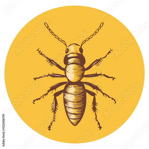 termite, insect, animal, vector, transparent background, creature, isoptera, isolated, pest, nature, wildlife, ant