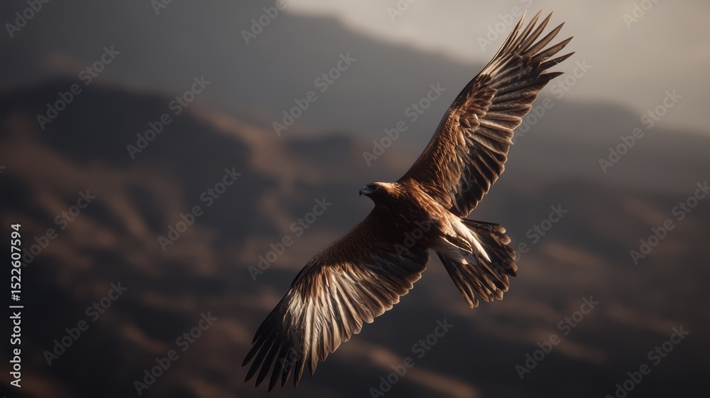 Naklejka premium soaring golden eagle with spread wings, blurry mountain cliff background