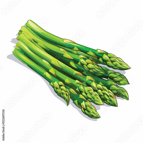 Fresh and Vibrant Asparagus Vector Illustration for Culinary Designs and Healthy Eating Concepts