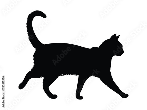 Black Cat Silhouette - Graceful Feline Walking Pose