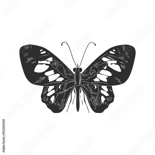 Butterfly Silhouette Illustration. Symbol Of Transformation And Beauty Isolated Vector Illustration