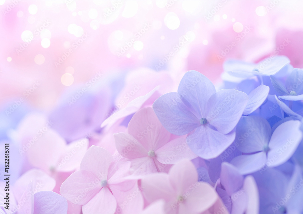 Obraz premium 綺麗なピンクと紫の紫陽花の花の背景素材 
