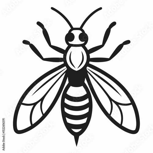 Wasp outline icon on white background