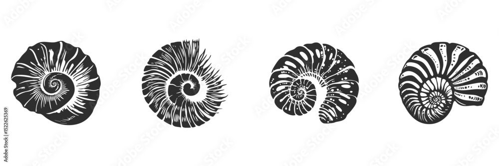 Obraz premium Nautilus Shells Silhouette Set. Marine Fossil Patterns And Natural Spirals Isolated Vector Illustration Collection