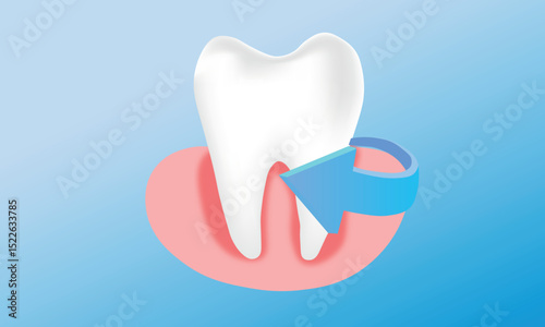 Teeth with protective arrows around the tooth vector illustration