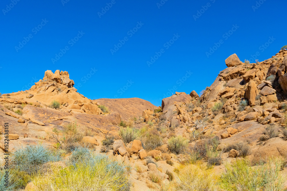 Arid landscape in the Richtersveld National Park Arid landscape in the Richtersveld National Park