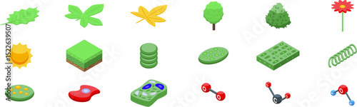 Chloroplast photosynthesis icons set. Photosynthesis icons set illustrating the process of converting light energy into chemical energy, featuring leaves, molecules, and plant cells