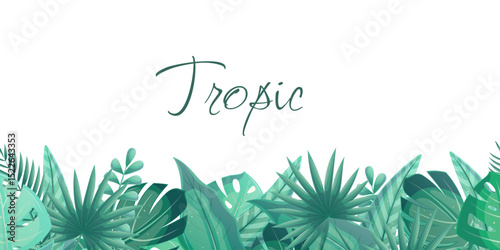 Horizontal seamless banner with tropical leaves on a white background. Palm leaves, bananas, monstera, tamarind, calathea. Vector illustrations for posters, banners, flyers and covers