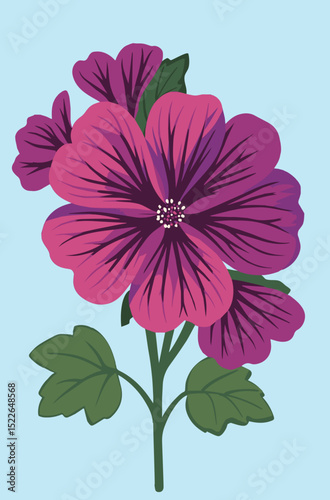 Malva sylvestris or common mallow illustration on a blue background