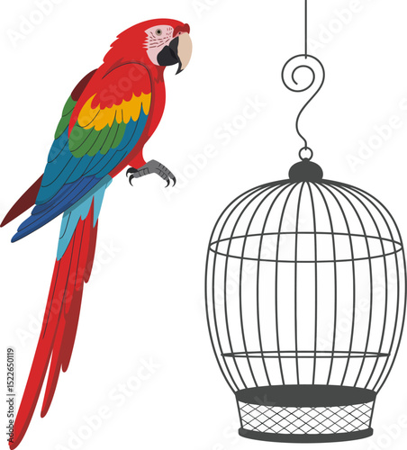 Illustration of a scarlet macaw parrot with a birdcage vector image stock photo background design editable stock vector illustration