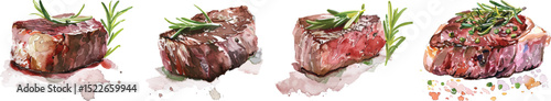 Steak Cuts Vector Illustration on White Background