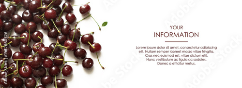 Black cherry. Pattern. Background. Isolation on white background. Advertising banner horizontal. Juicy berries. Space for your information. Template.