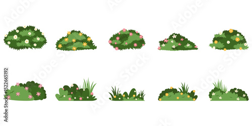 Set of garden bush with flower illustration. Grass, plant, floral for spring, summer season decoration. Vector isolated.