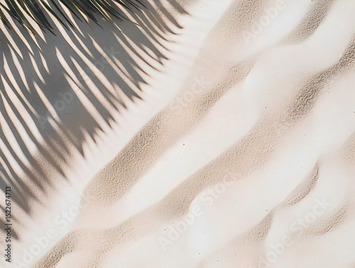 Top down macro photography of fine beach sand with shadow of tropical leaf. Minimalistic and elegant summer texture with natural lighting and attractive design. Vacation background