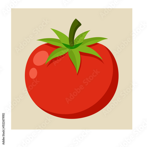 tomato vector illustration