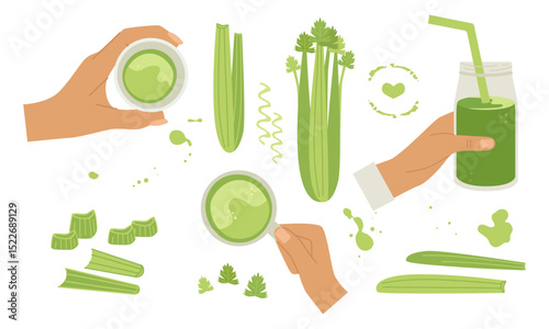 Celery set. Hand with juice in glasses, view from different sides, bunches, stems, leaves, drops and splashes.