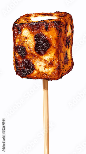 A charred marshmallow on a stick vector isolated on a white background