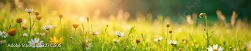 A sun-drenched meadow with wildflowers gently swaying in a light breeze; slow-motion nature at its finest The tranquil scene evokes peace and serenity , breeze, ecology