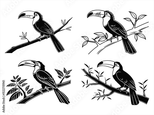 toucan sihouette black vector bundle