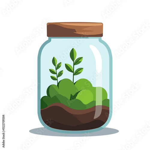 Illustration of a Terrarium with Plants in a Glass Jar, a Miniature Garden Ecosystem