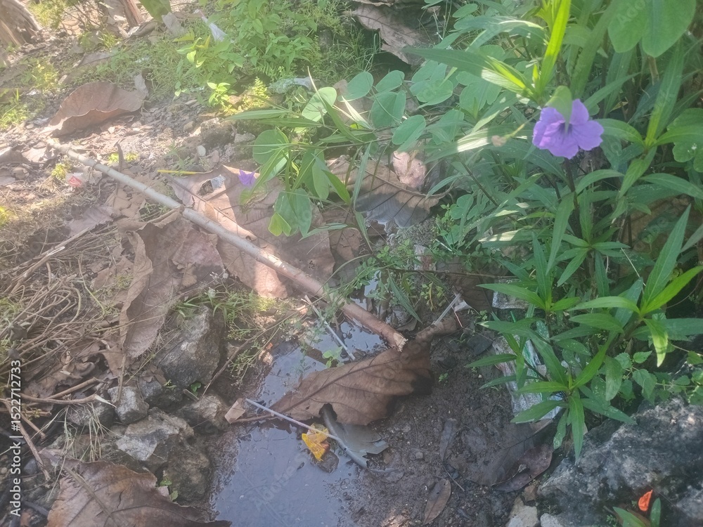 Obraz premium wild flowers in the forest