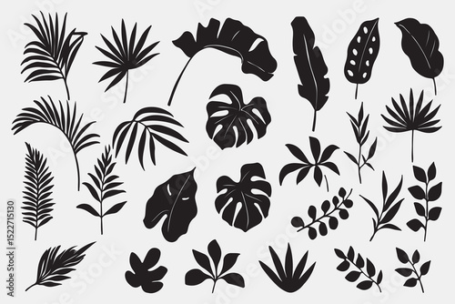 Leaf Silhouettes Vector, Tropical Foliage Illustration, Hand Drawn Plant Icons, Black Ink Leaf Set, Jungle and Exotic Leaves, Nature Doodle Collection, Botanical Foliage Art, Plant Graphic Pack, Natur