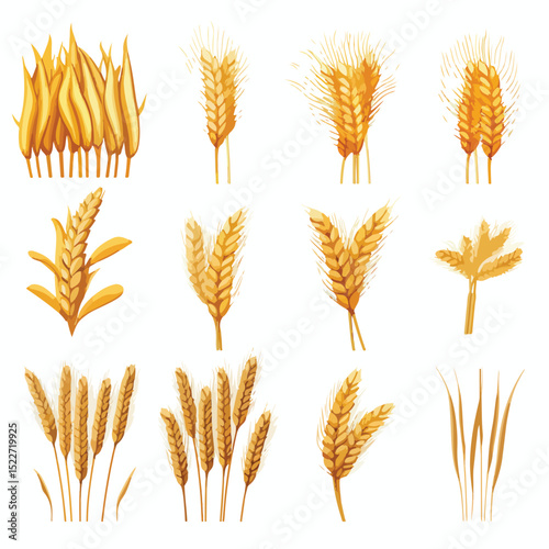 Professional Nine Wheat Spikes Set Icons Vector Illustration for Agricultural Use