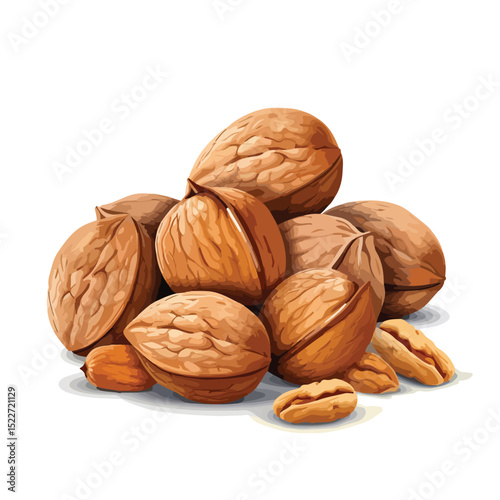 Professional Vector Illustration of Nut Food Symbol for Creative Design Projects
