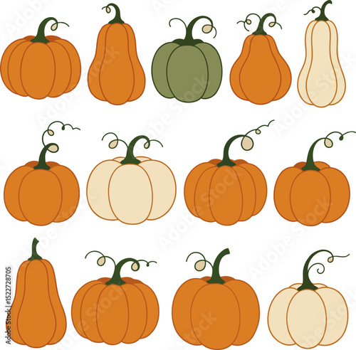 Autumn Harvest Pumpkins Collection Fall Graphic Design Elements Thanksgiving Decor
