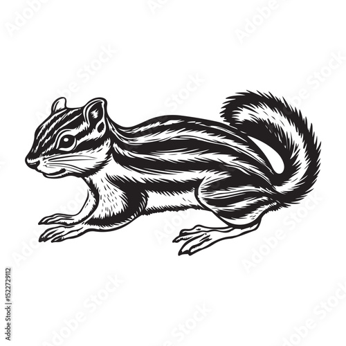 dormouse silhouette line art vector illustration