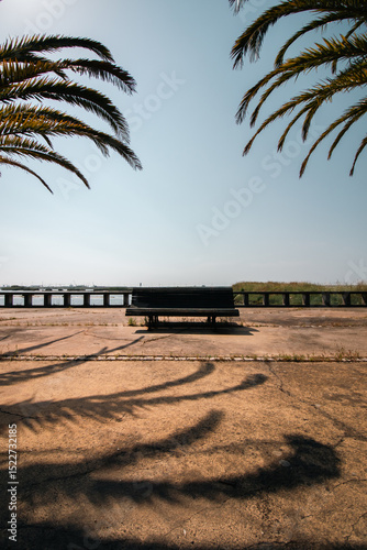 Empty Bench on a Sunny Seaside Promenade Framed by Palm Trees