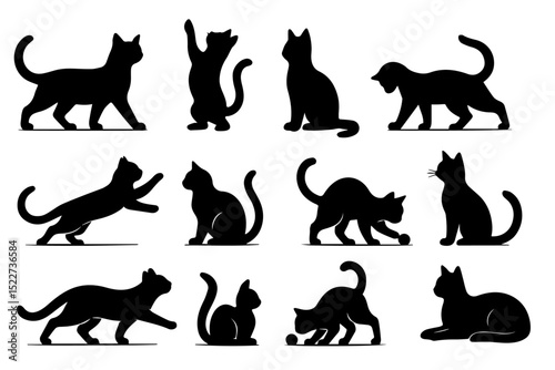 cat set, vector illustration