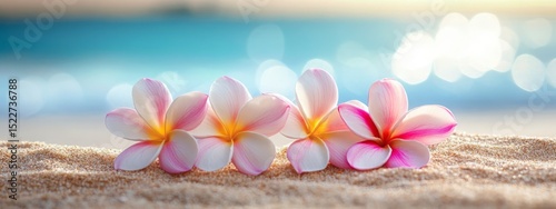 Plumeria flowers on the beach on the sand. selective focus. Generative AI,