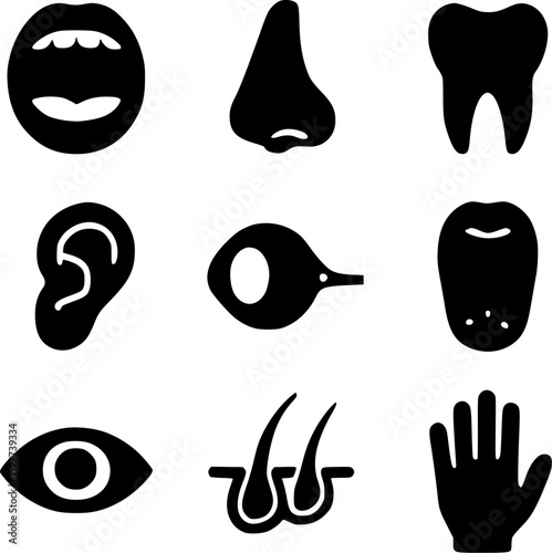 Human Sense Organs and External Body Parts Silhouette Icon Set | Medical & Biology Vector

