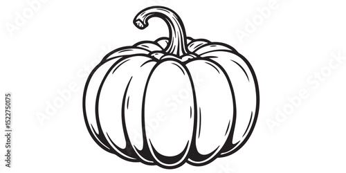 Black and White Pumpkin Vector Illustration with Clean Line Art