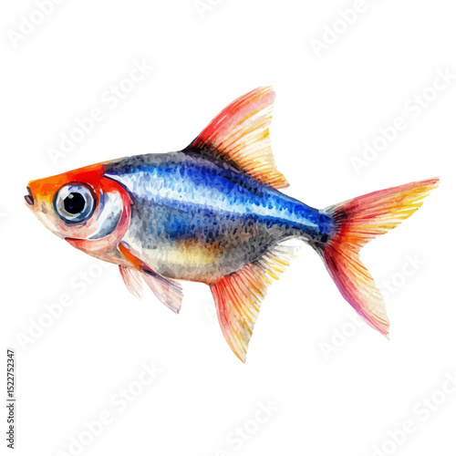 watercolor of Neon Tetra, vector high quality, isolated on a white background.