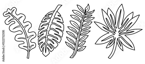 Hand drawn tropical abstract leaves outline set. Black and white exotic foliage vector. Jungle leaf doodles collection