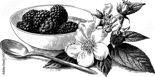 Engraved illustration of raspberry mousse with floral elements