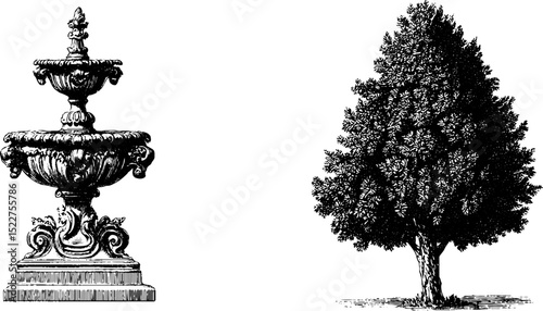 Baroque ornamental elements: engraved fountain and tree design for decorative use