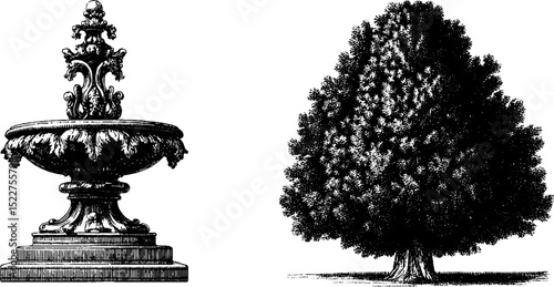 Elegant baroque ornamental engravings