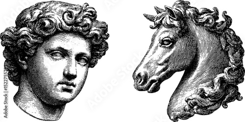Baroque cherub and horse profiles in engraved style for artistic design